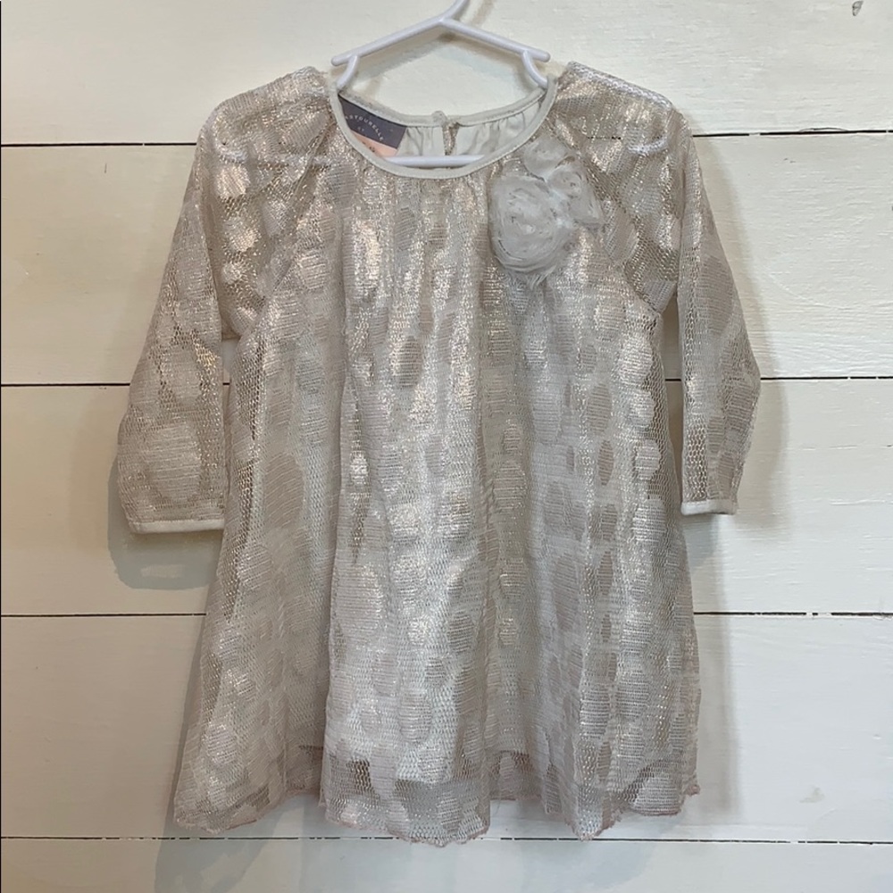 Shimmer dress